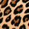 CHEETAH CHIC